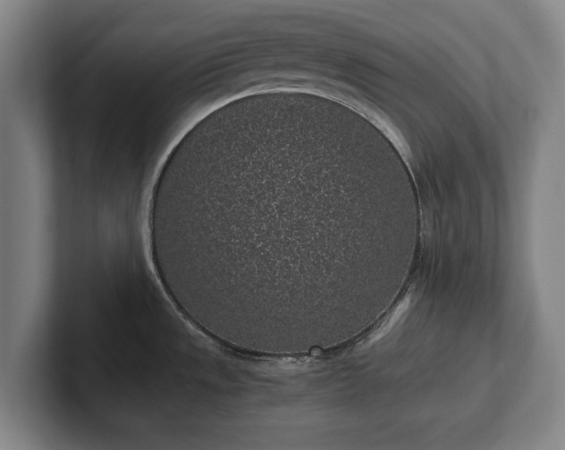 X0000101991533200807251216
