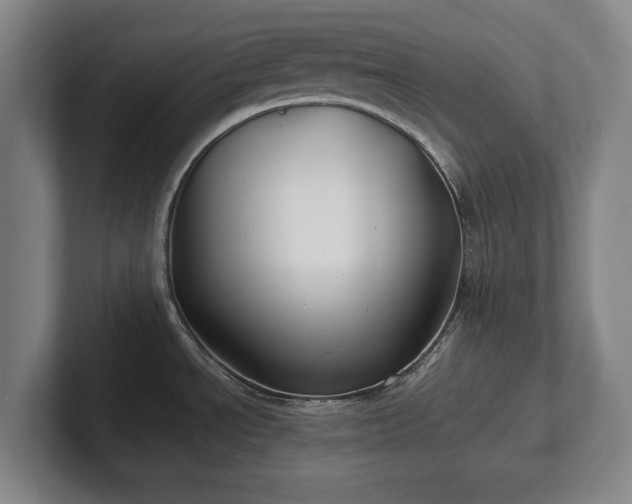 X0000101991534200807251216