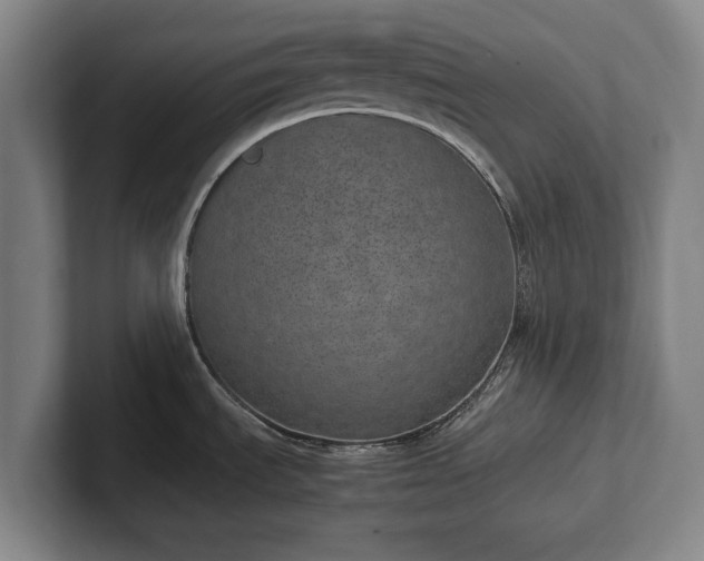 X0000101991535200807251216