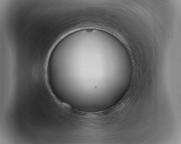 X0000101991536200807251216