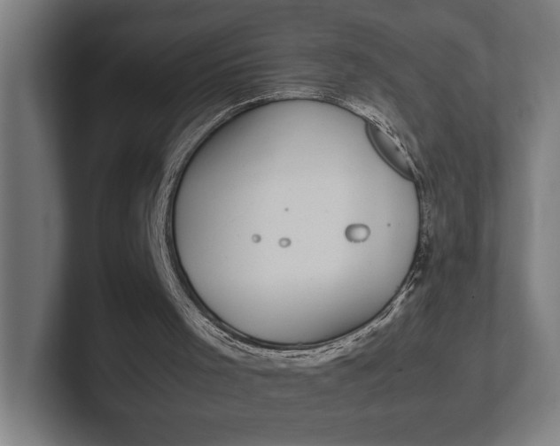 X0000101990001200808011110