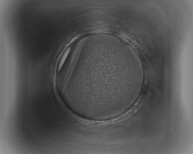 X0000101990002200808011110