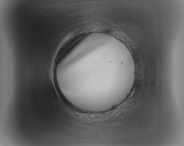 X0000101990003200808011110