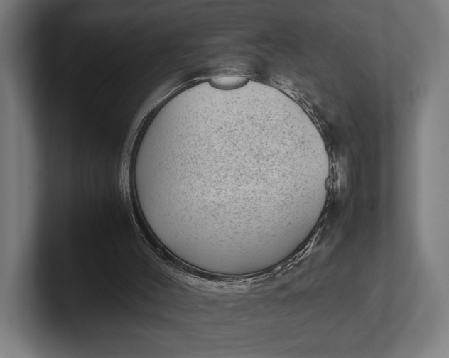 X0000101990004200808011110