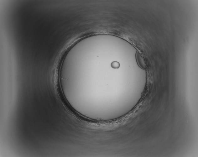 X0000101990005200808011110