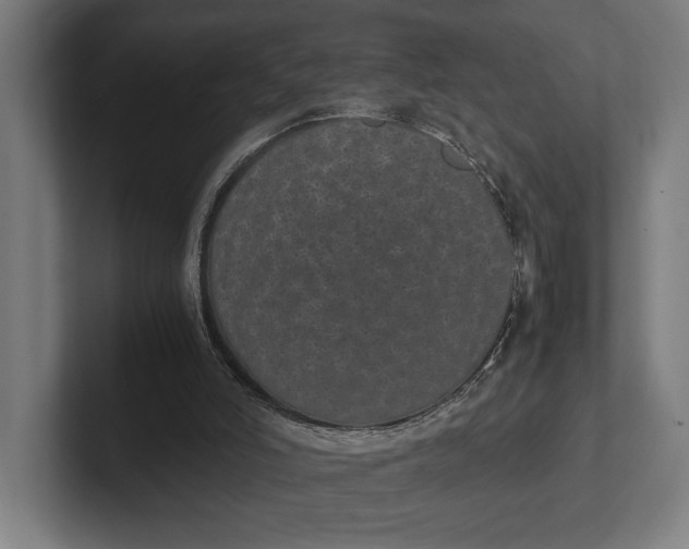 X0000101990006200808011110