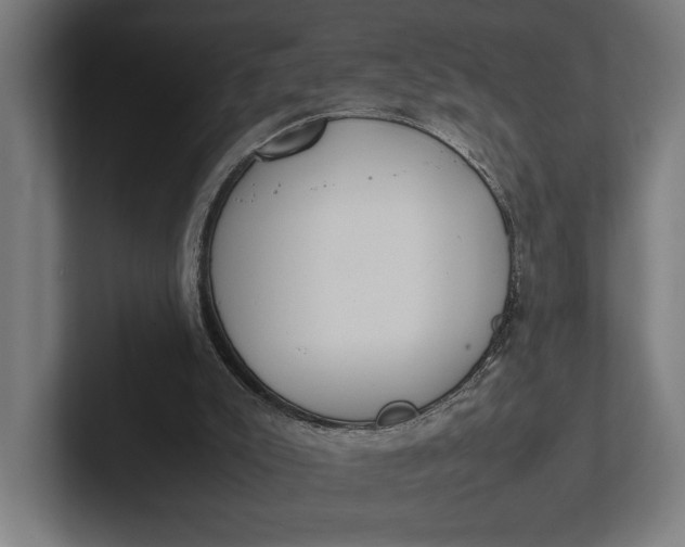 X0000101990007200808011110