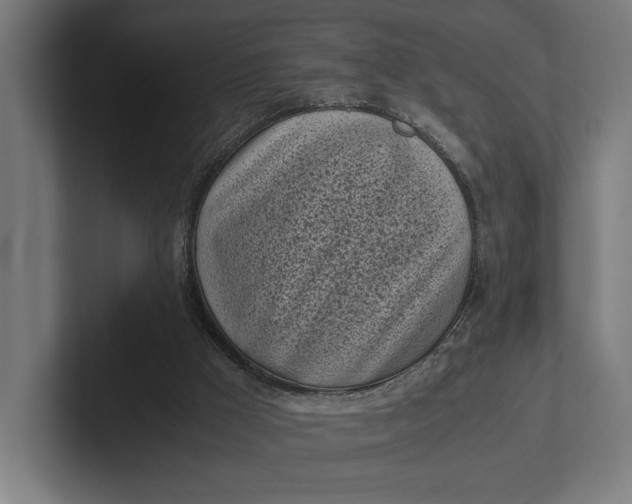 X0000101990009200808011110