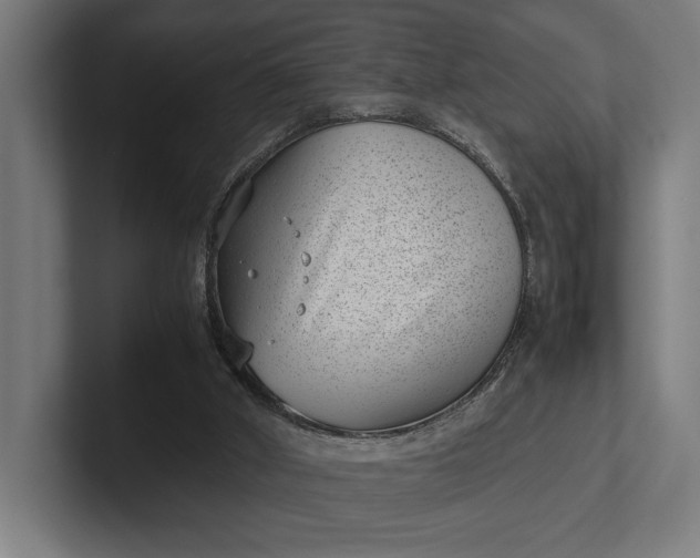 X0000101990010200808011110