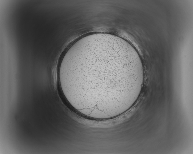 X0000101990011200808011110