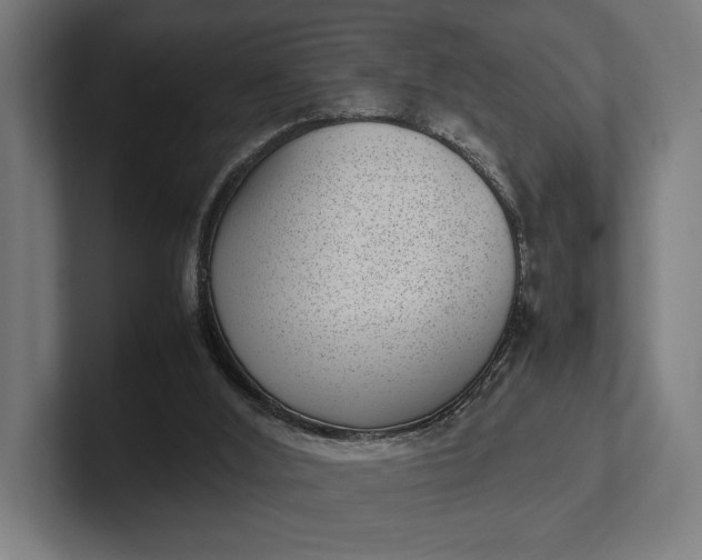 X0000101990012200808011110