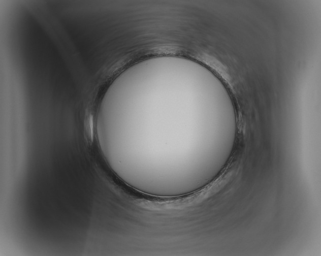 X0000101990013200808011110