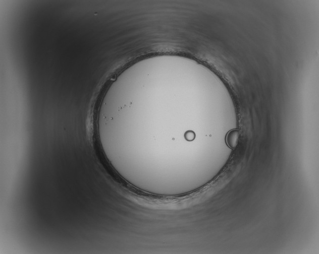 X0000101990015200808011110