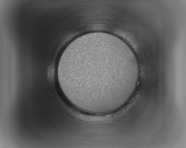 X0000101990016200808011110