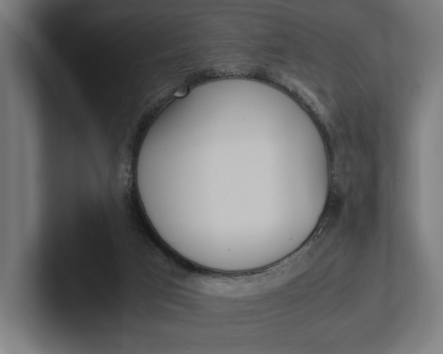 X0000101990017200808011110