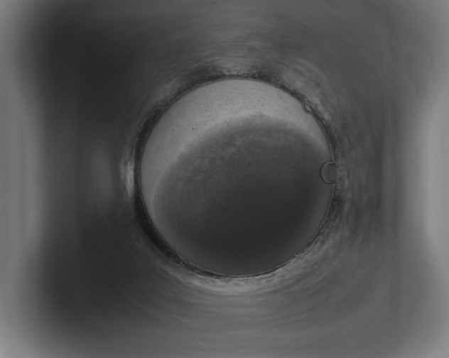 X0000101990019200808011110