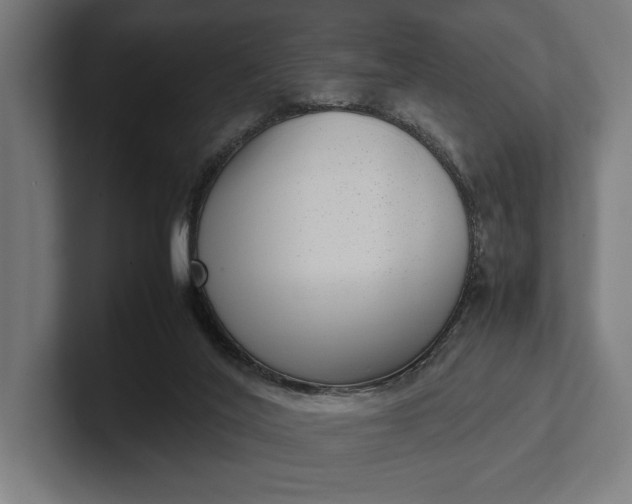 X0000101990020200808011110