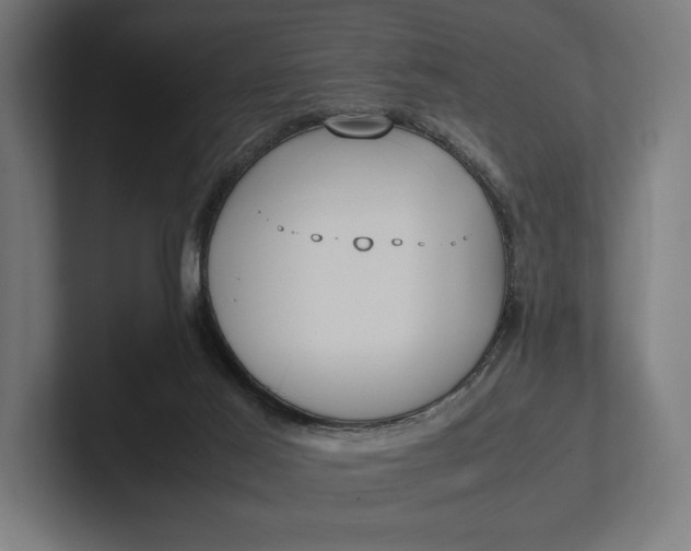 X0000101990021200808011110