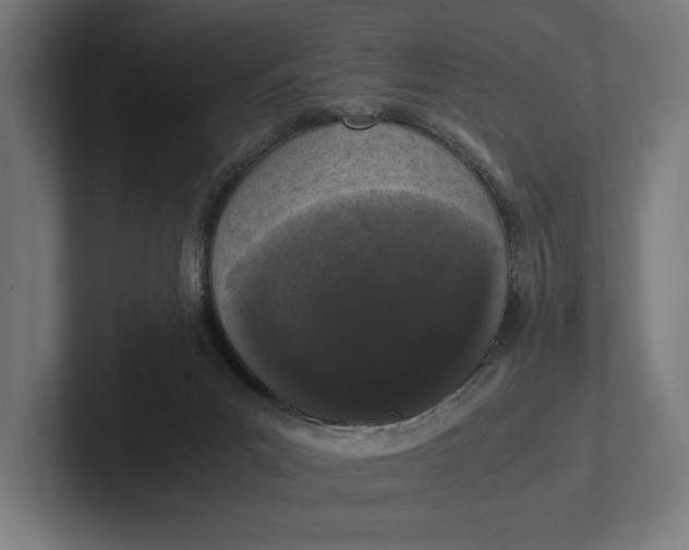 X0000101990023200808011110