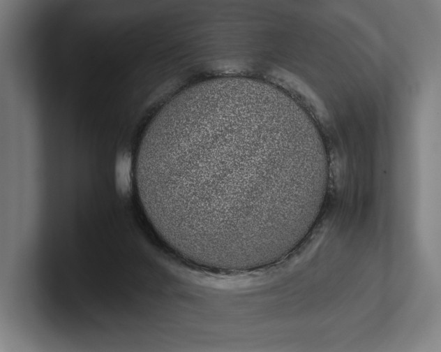 X0000101990024200808011110