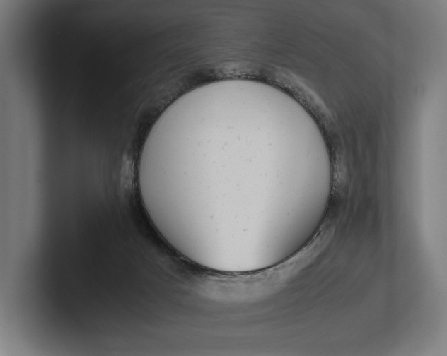 X0000101990025200808011110