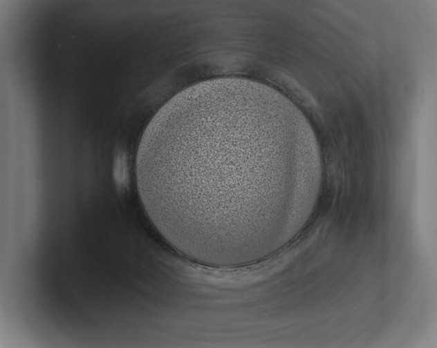 X0000101990026200808011110