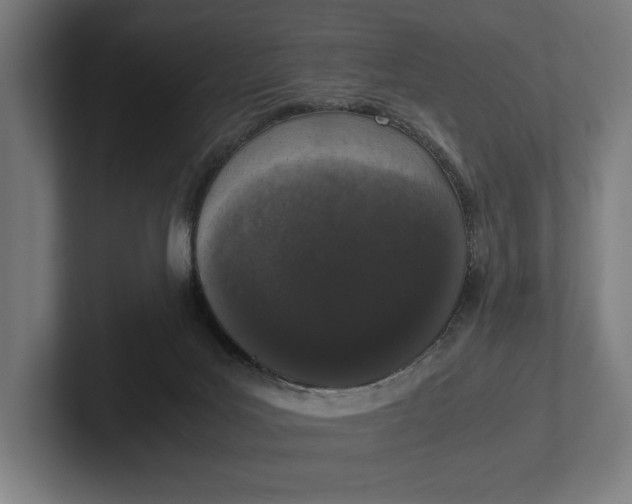 X0000101990027200808011110