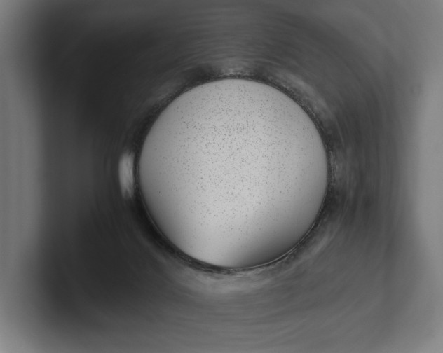 X0000101990028200808011110