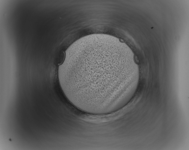 X0000101990029200808011110