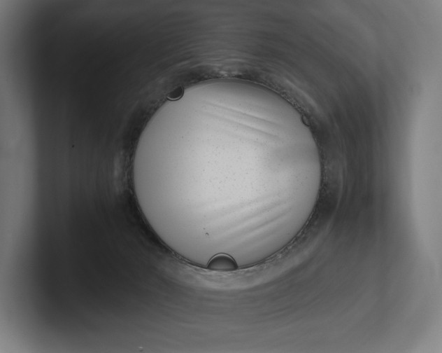 X0000101990030200808011110