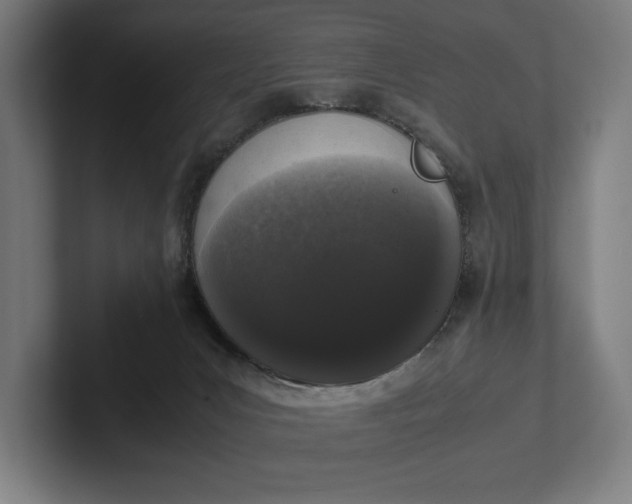 X0000101990031200808011110