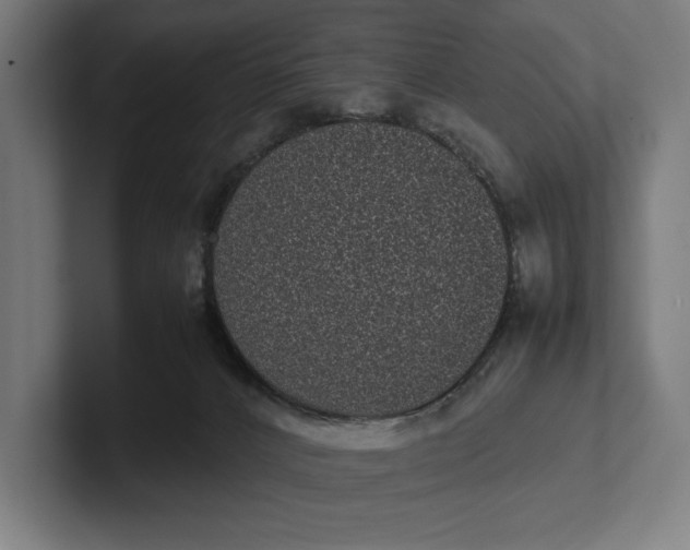 X0000101990032200808011110