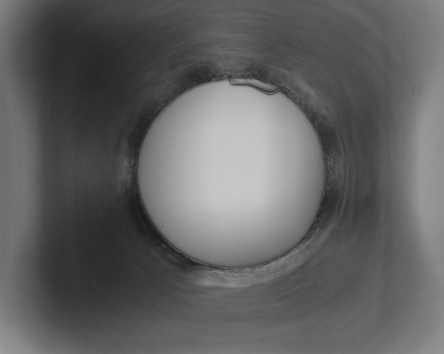 X0000101990033200808011110