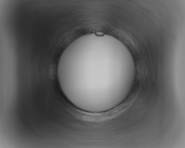 X0000101990034200808011110