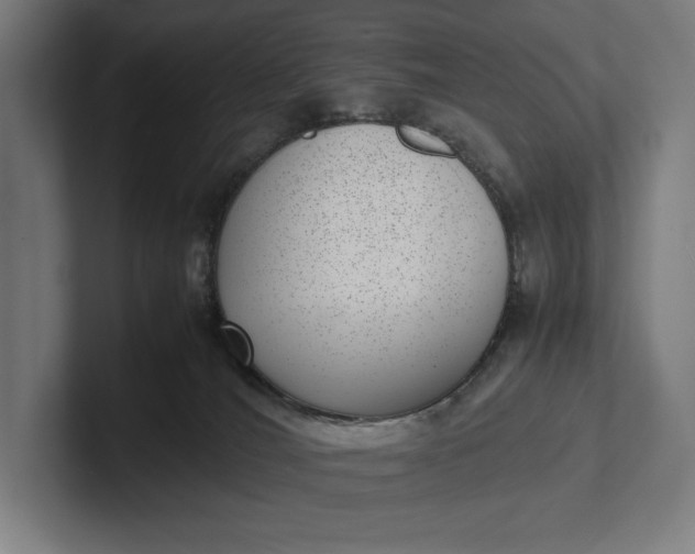 X0000101990036200808011110