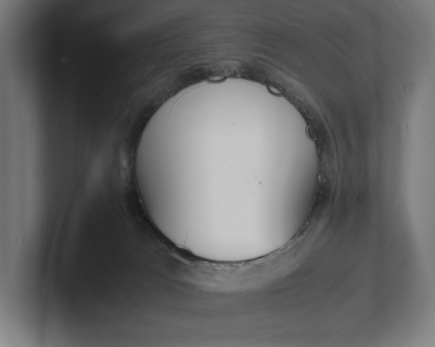 X0000101990037200808011110