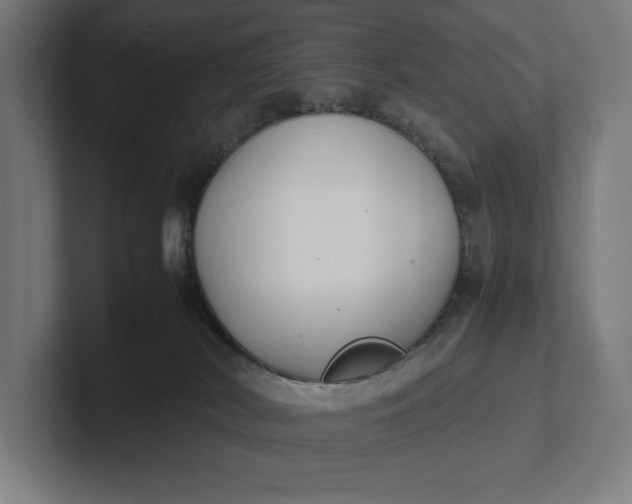 X0000101990038200808011110