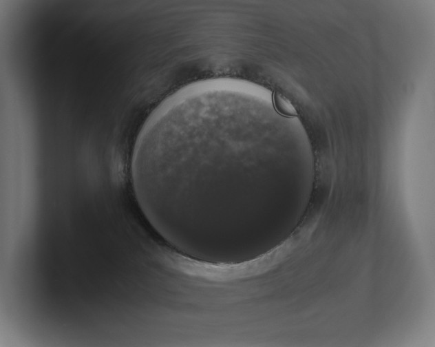 X0000101990039200808011110