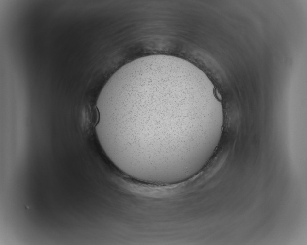 X0000101990040200808011110