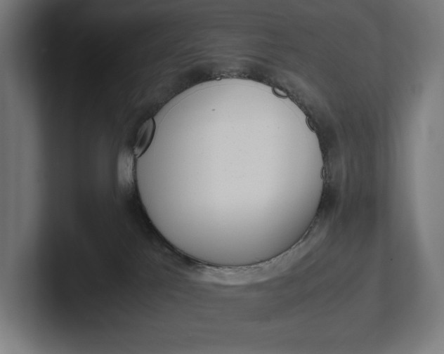 X0000101990041200808011110