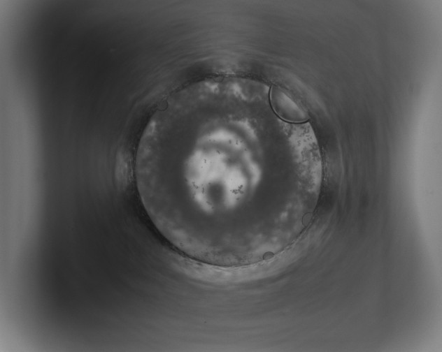 X0000101990043200808011110