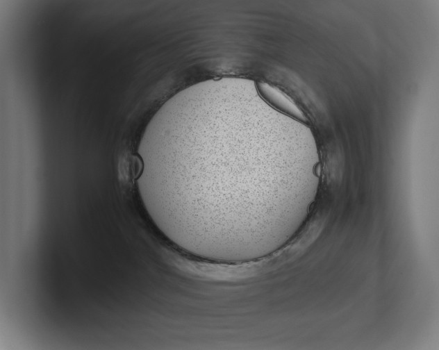 X0000101990044200808011110