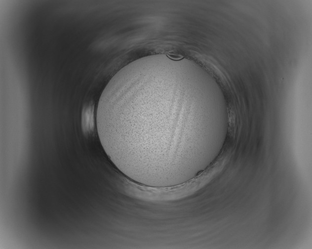 X0000101990046200808011110