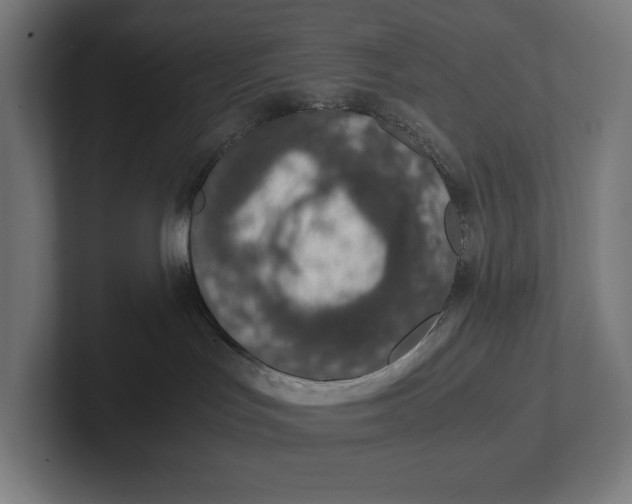 X0000101990047200808011110