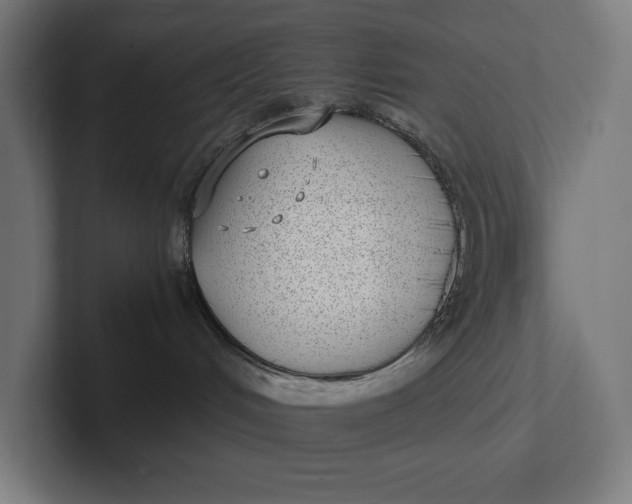 X0000101990048200808011110