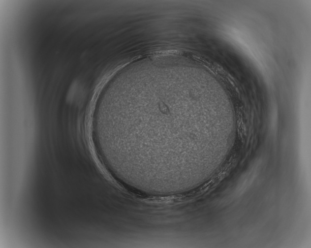 X0000101990049200808011109