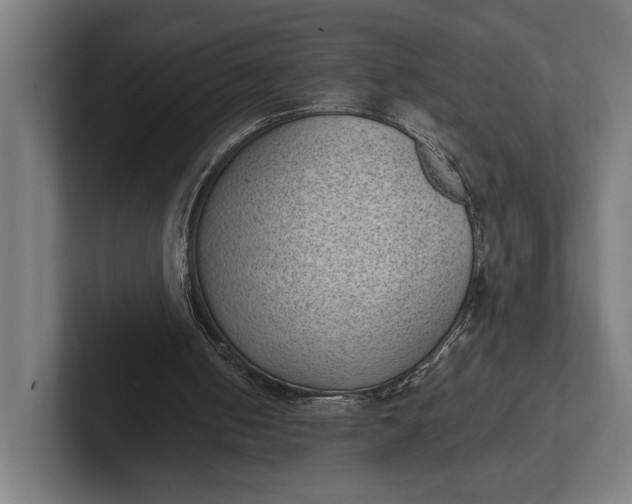 X0000101990050200808011109