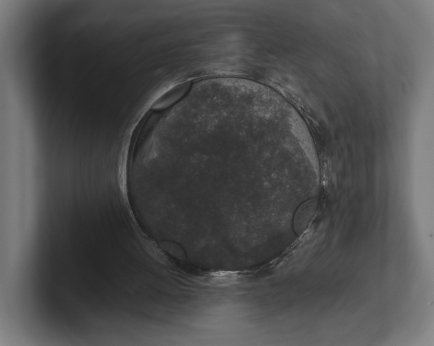 X0000101990052200808011109