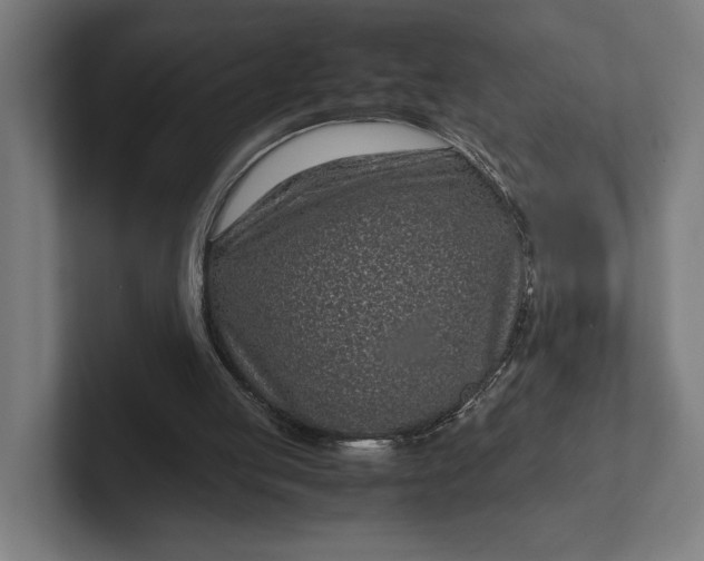 X0000101990053200808011109