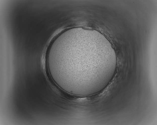 X0000101990054200808011109